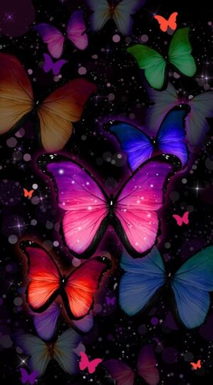 Butterfly Wallpaper