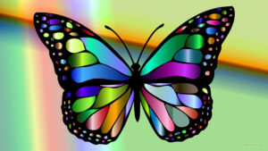 Desktop Butterfly Wallpaper