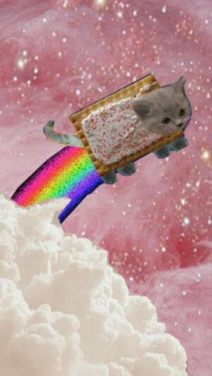 Nyan Cat Background 